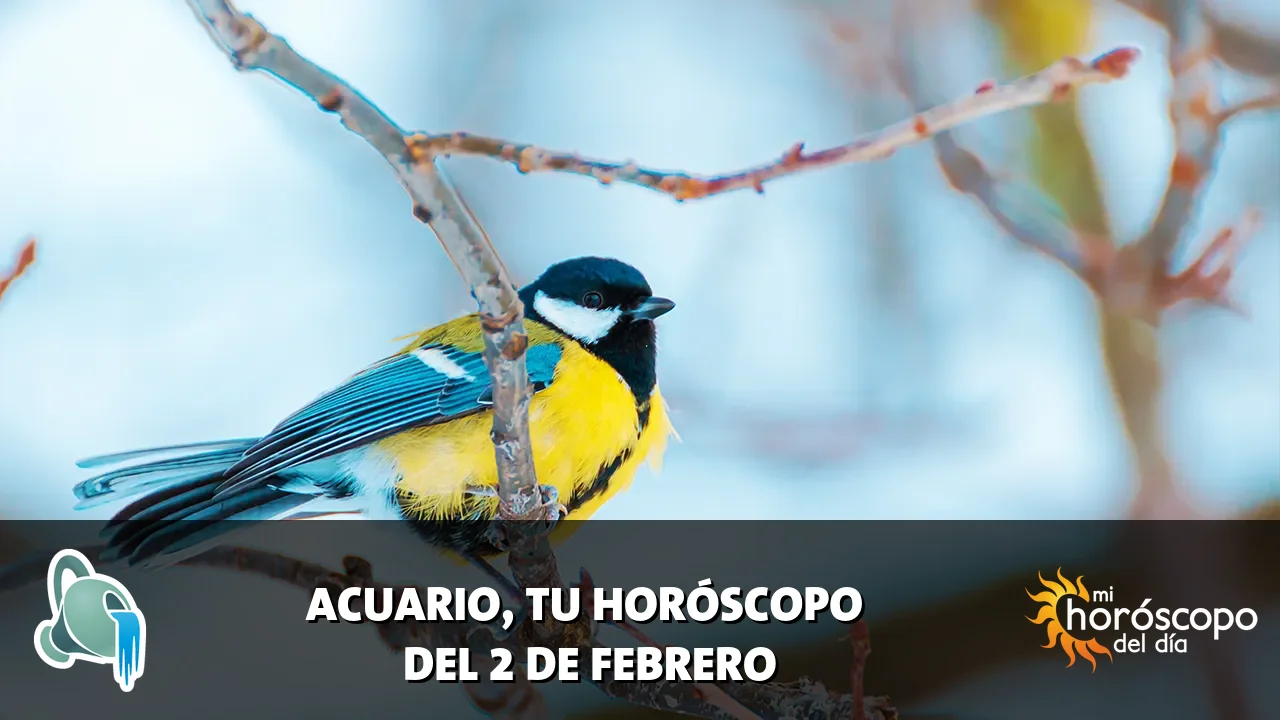 Horóscopo de Acuario del lunes 2 de febrero de 2026