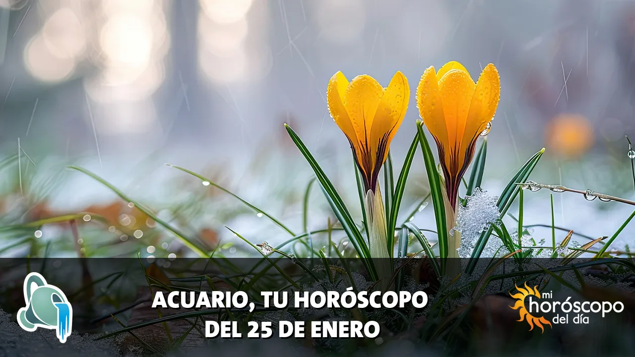 Horóscopo de Acuario del domingo 25 de enero de 2026