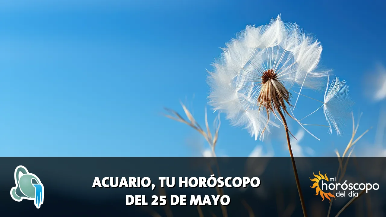 Horóscopo de Acuario del lunes 25 de mayo de 2026