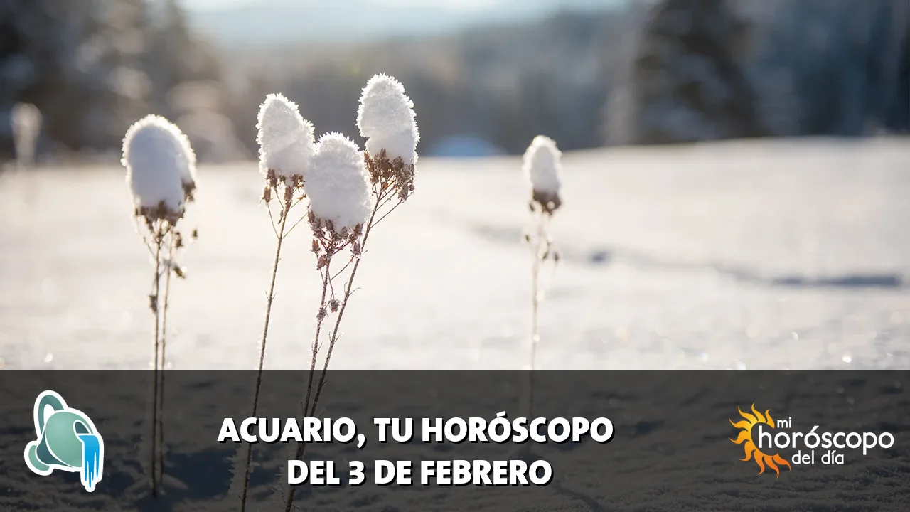 Horóscopo de Acuario del martes 3 de febrero de 2026