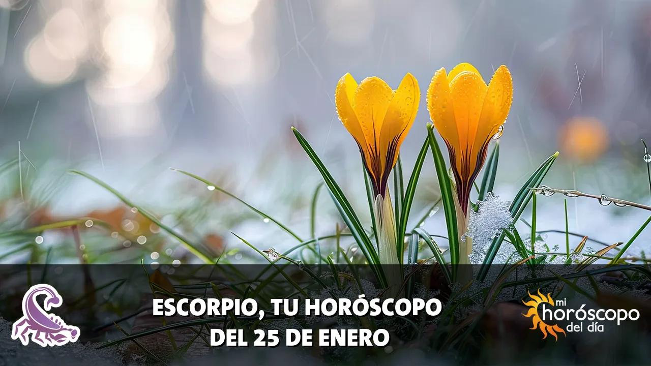 Horóscopo de Escorpio del domingo 25 de enero de 2026
