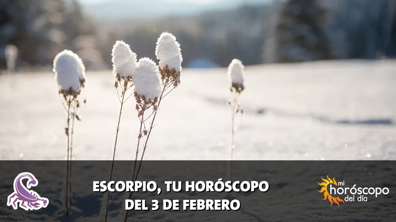 Horóscopo de Escorpio del martes 3 de febrero de 2026