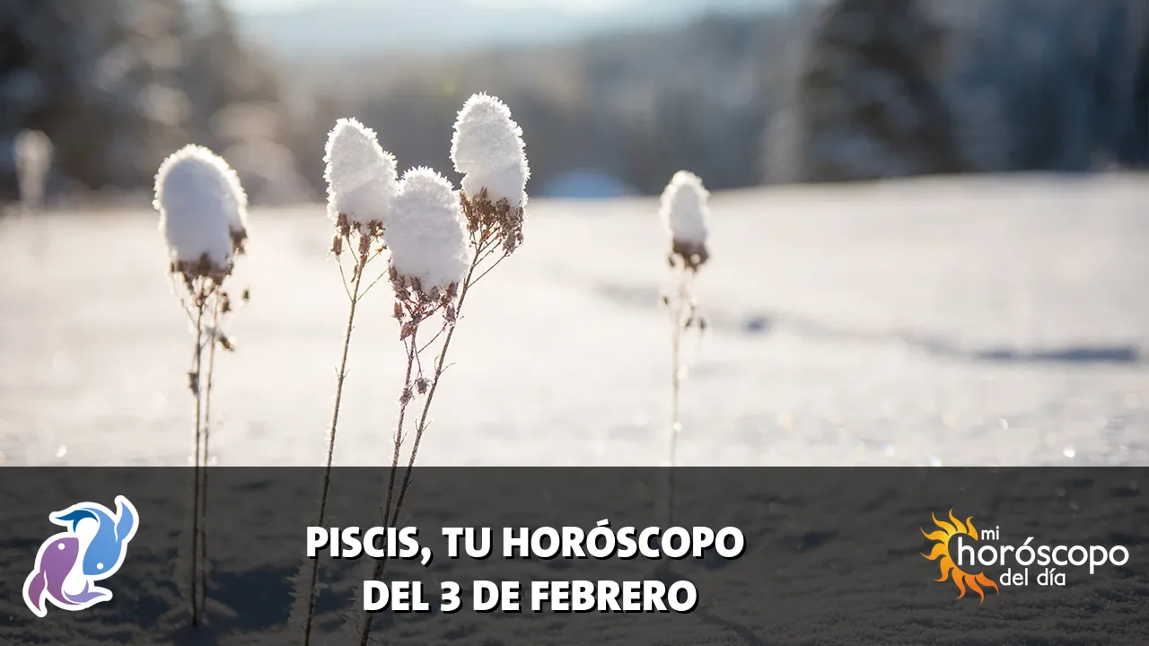 Horóscopo de Piscis del martes 3 de febrero de 2026