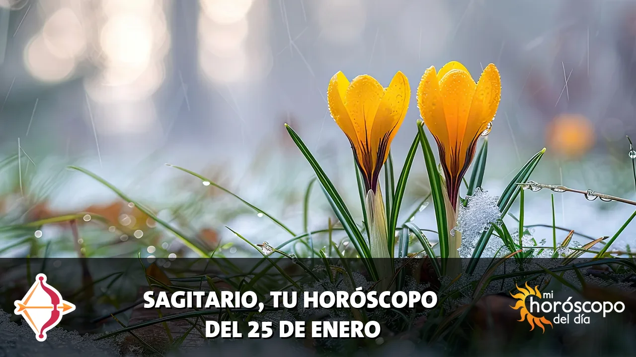 Horóscopo de Sagitario del domingo 25 de enero de 2026