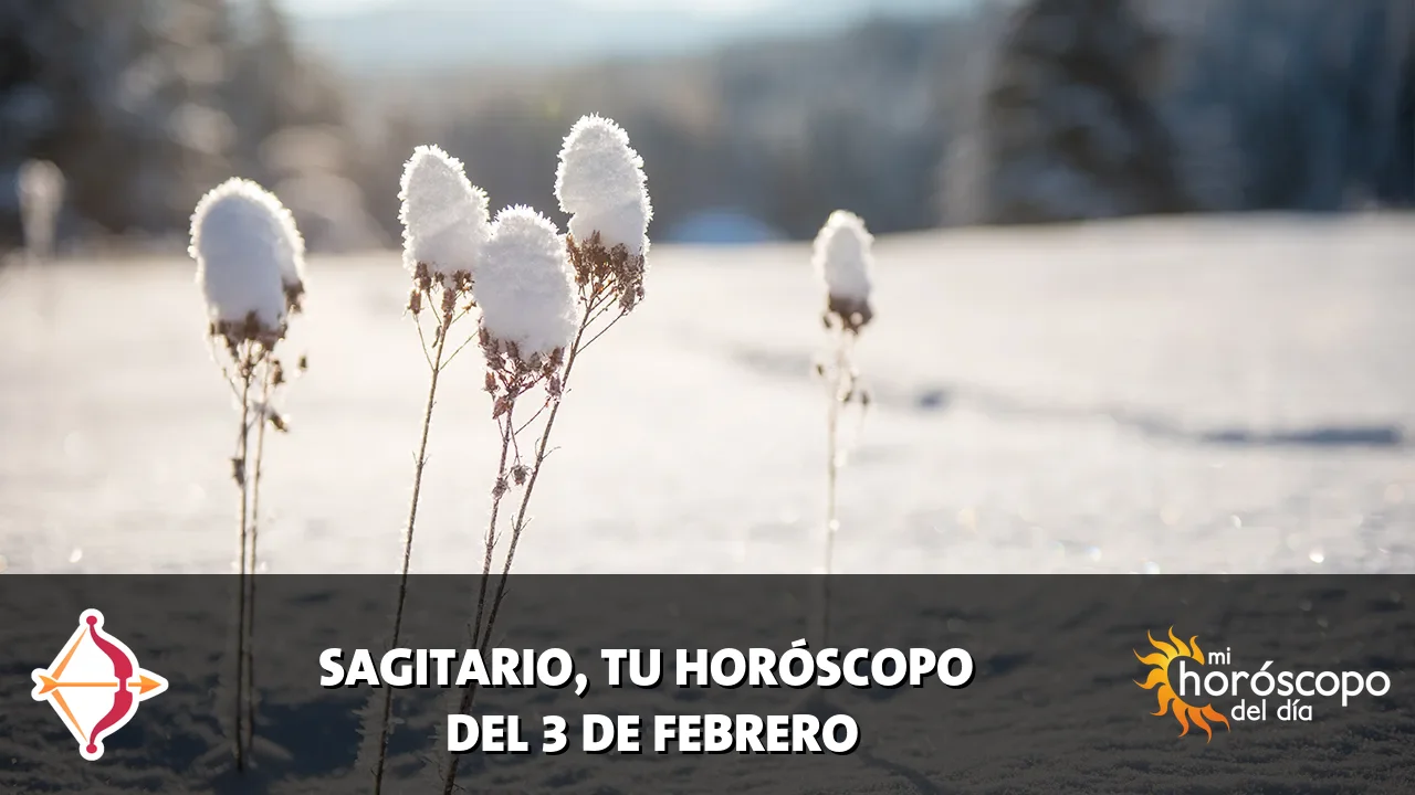 Horóscopo de Sagitario del martes 3 de febrero de 2026