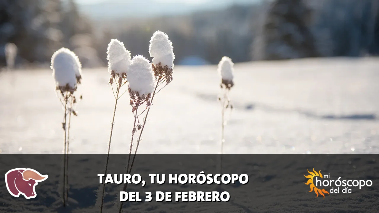 Horóscopo de Tauro del martes 3 de febrero de 2026