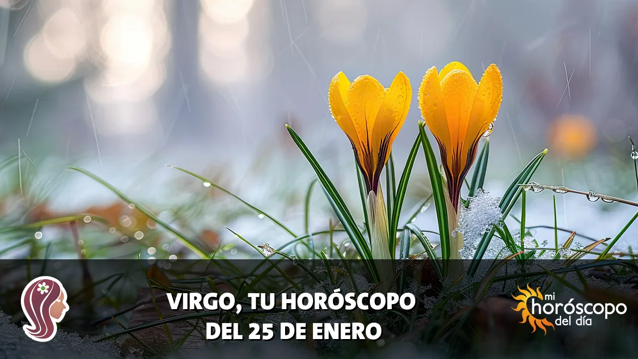 Horóscopo de Virgo del domingo 25 de enero de 2026