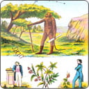 En el tarot de Mlle Lenormand, ¿Qué significa sacar una de las 19 cartas de la serie de los Sucesos Imprevistos?