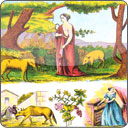 En el tarot de Mlle Lenormand, ¿Qué significa sacar una de las 19 cartas de la serie de los Sucesos Imprevistos?