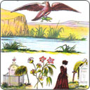 En el tarot de Mlle Lenormand, ¿Qué significa sacar una de las 19 cartas de la serie de los Sucesos Imprevistos?