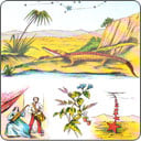 En el tarot de Mlle Lenormand, ¿Qué significa sacar una de las 19 cartas de la serie de los Sucesos Imprevistos?