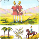 ¡Conoce el significado de las 12 cartas de la serie Orden del Tiempo del tarot de mademoiselle Lenormand!