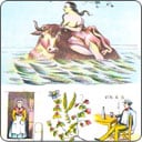 ¡Conoce el significado de las 12 cartas de la serie Orden del Tiempo del tarot de mademoiselle Lenormand!