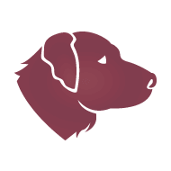 Perro