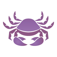 Cáncer