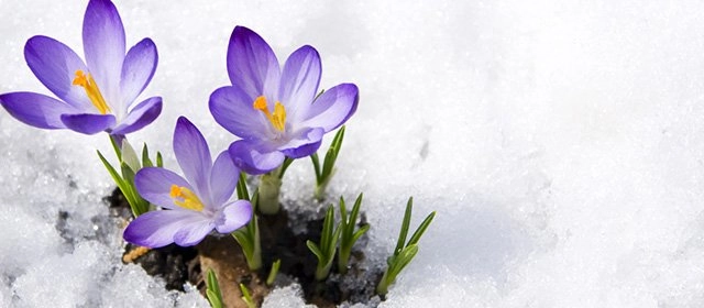 Horóscopo para Miércoles 7 Enero 2026