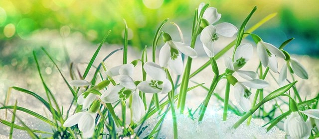 Horóscopo para Lunes 12 Enero 2026