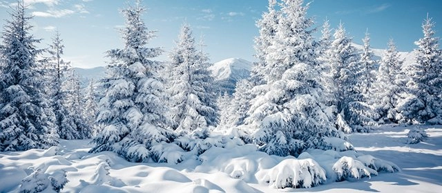 Horóscopo para Sábado 24 Enero 2026