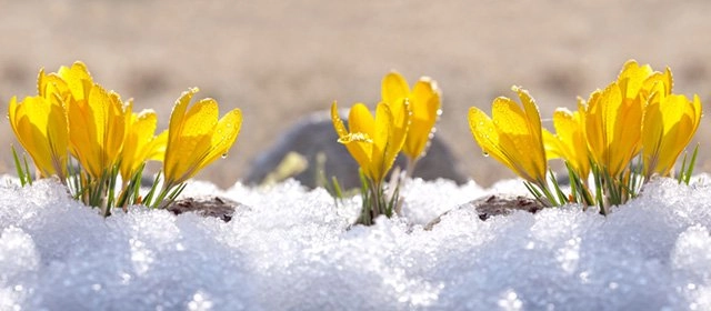 Horóscopo para Domingo 25 Enero 2026