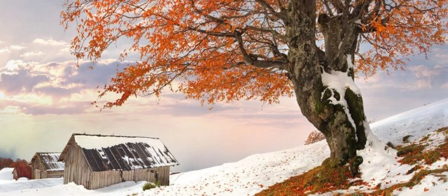 Horóscopo para Sábado 31 Enero 2026