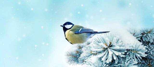 Horóscopo para  Lunes 2 Febrero 2026