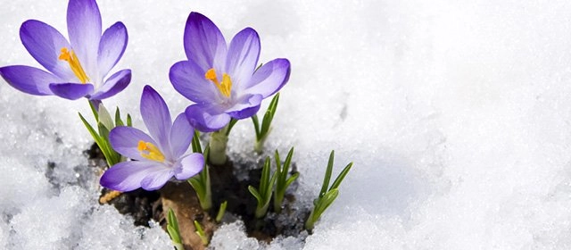 Horóscopo para Jueves 5 Febrero 2026