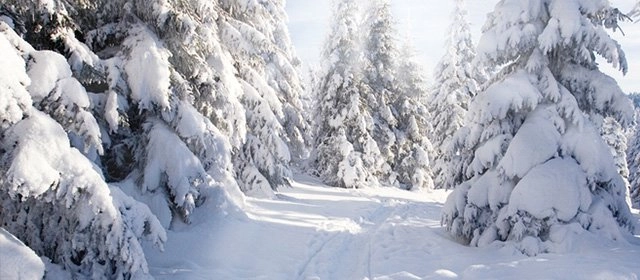 Horóscopo para  Miércoles 11 Febrero 2026