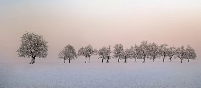 Horóscopo para  Lunes 16 Febrero 2026