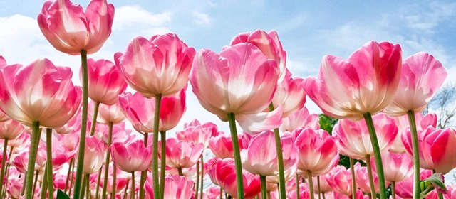 Horóscopo para Sábado 7 Marzo 2026