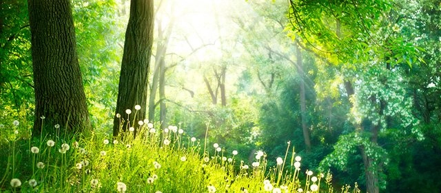 Horóscopo para  Viernes 13 Marzo 2026