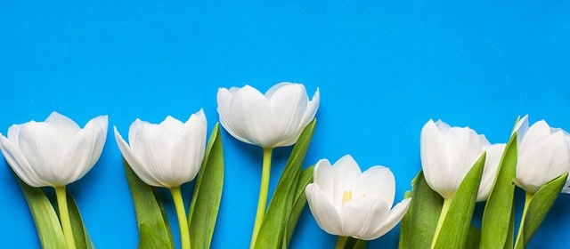 Horóscopo para  Miércoles 18 Marzo 2026