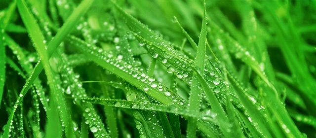 Horóscopo para  Viernes 20 Marzo 2026