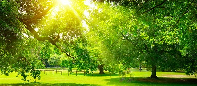 Horóscopo para Domingo 22 Marzo 2026