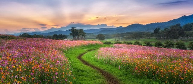 Horóscopo para  Jueves 26 Marzo 2026