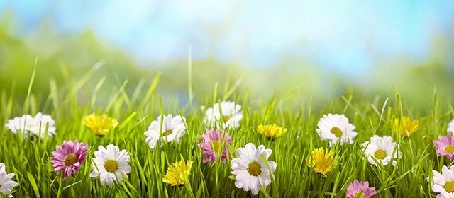 Horóscopo para Sábado 28 Marzo 2026