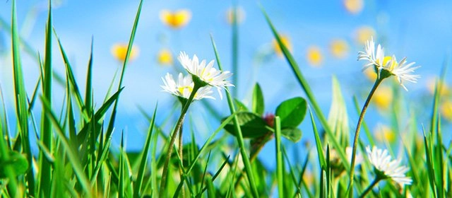 Horóscopo para  Viernes 3 Abril 2026