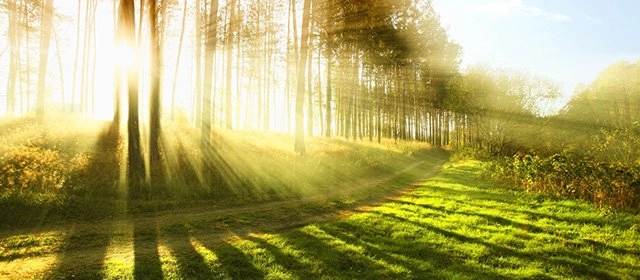 Horóscopo para  Martes 7 Abril 2026