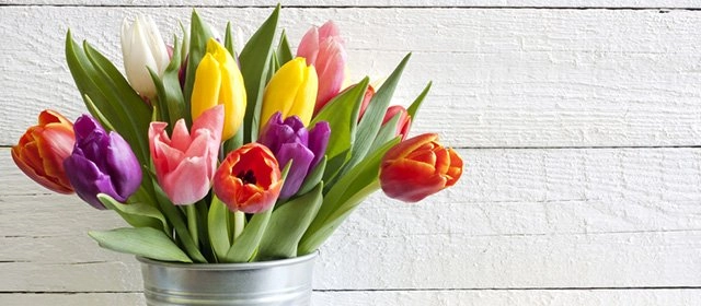 Horóscopo para Martes 14 Abril 2026