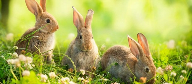 Horóscopo para Miércoles 15 Abril 2026