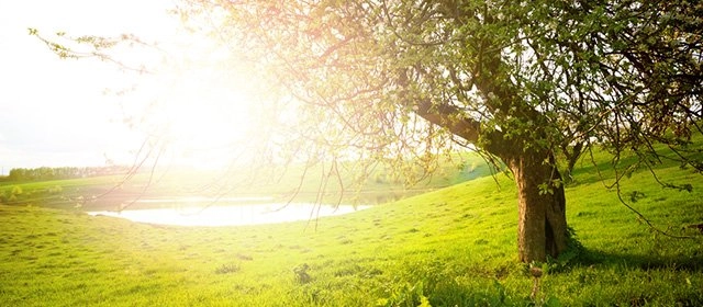 Horóscopo para Martes 21 Abril 2026