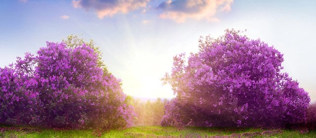 Horóscopo para  Martes 28 Abril 2026