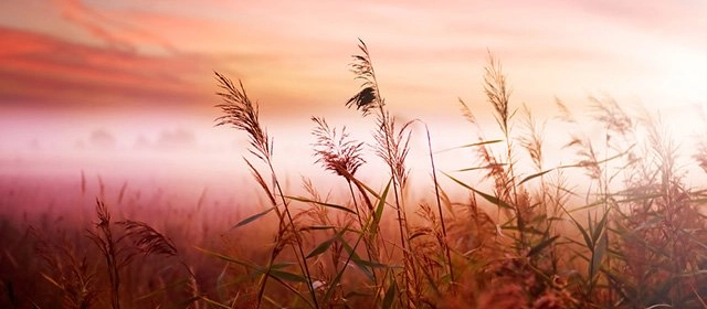 Horóscopo para  Martes 4 Noviembre 2025