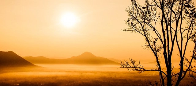 Horóscopo para Domingo 9 Noviembre 2025