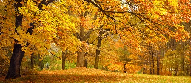 Horóscopo para Lunes 10 Noviembre 2025