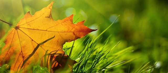 Horóscopo para Martes 11 Noviembre 2025