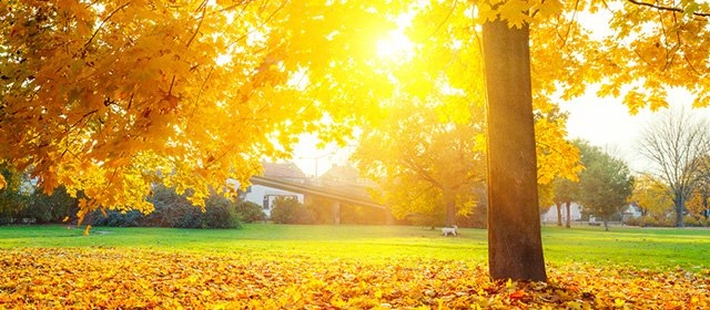 Horóscopo para Miércoles 12 Noviembre 2025