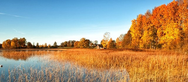 Horóscopo para Jueves 13 Noviembre 2025