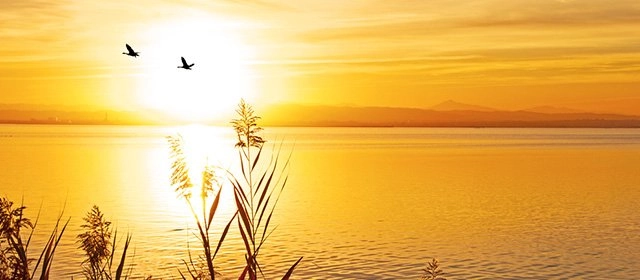 Horóscopo para Viernes 14 Noviembre 2025