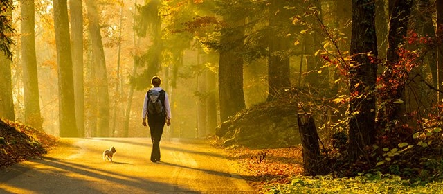 Horóscopo para Lunes 17 Noviembre 2025