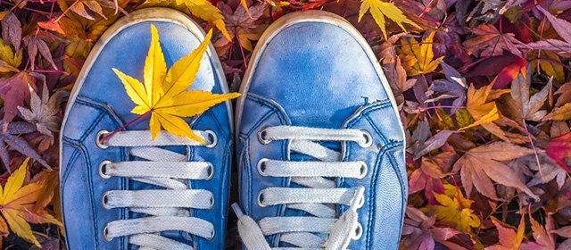 Horóscopo para Viernes 21 Noviembre 2025